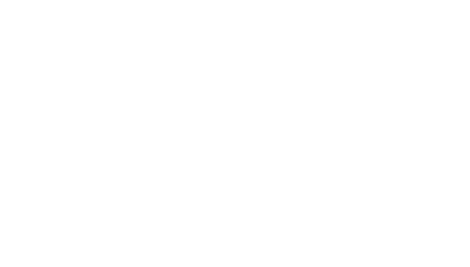 P.T.U. Vermaas, Independent Consultant